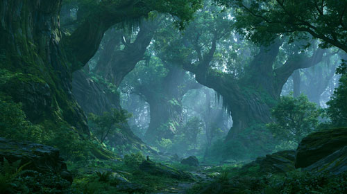 Echothorn Forest